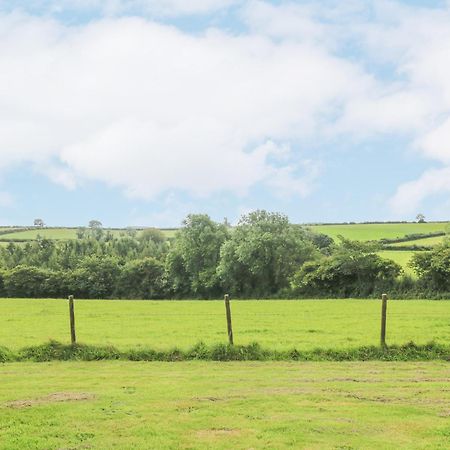 South Boduel Farmhouse Liskeard Dış mekan fotoğraf