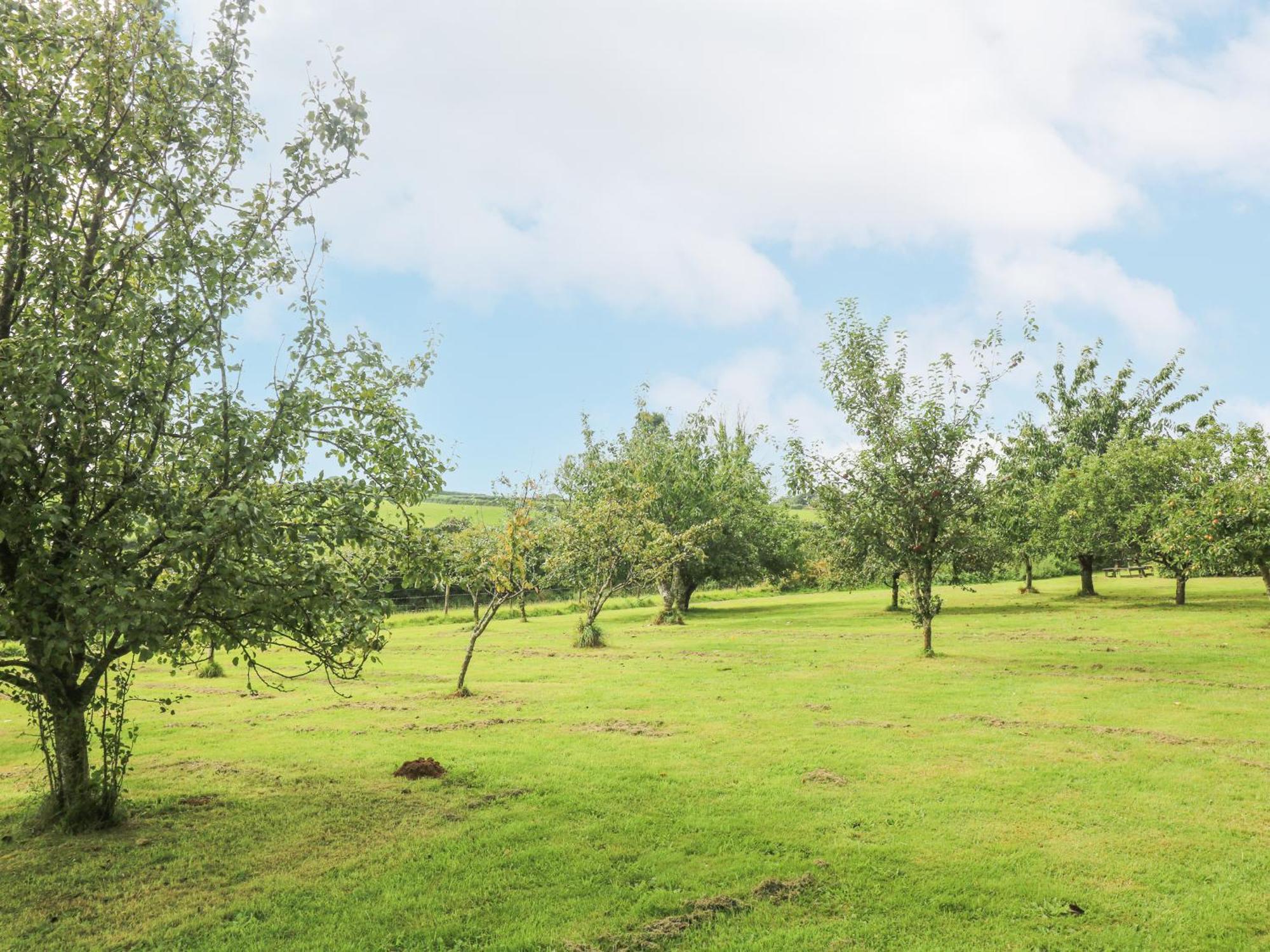 South Boduel Farmhouse Liskeard Dış mekan fotoğraf